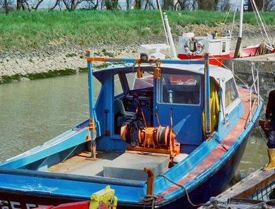 Port Meschers sur Gironde - Camping Les Nonnes