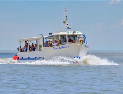 Port Meschers sur Gironde - Camping Les Nonnes