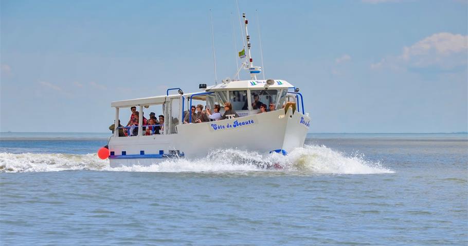 Port Meschers sur Gironde - Camping Les Nonnes