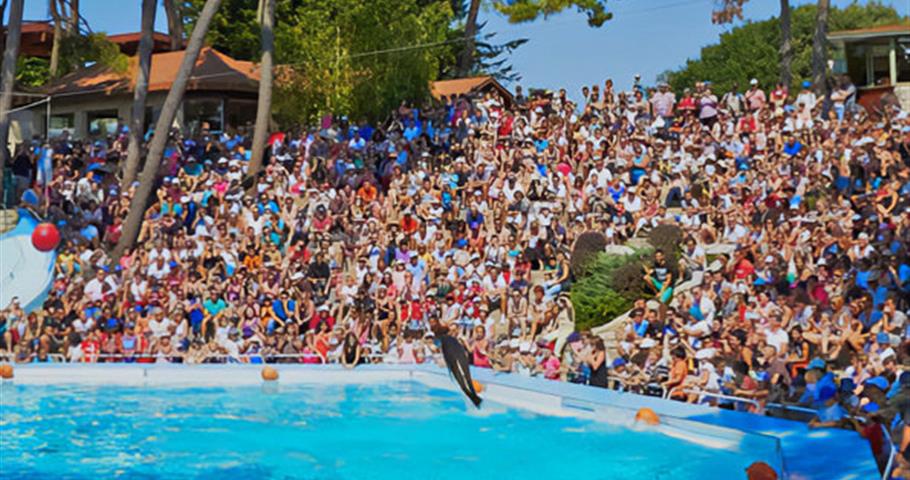 Zoo de La Palmyre - Camping Les Nonnes
