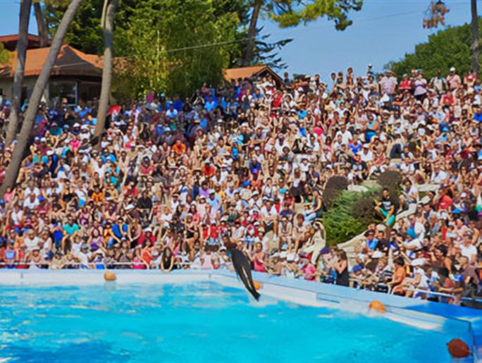 Zoo de La Palmyre - Camping Les Nonnes