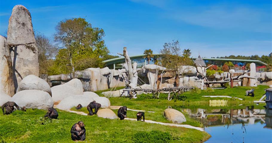 Zoo de La Palmyre - Camping Les Nonnes